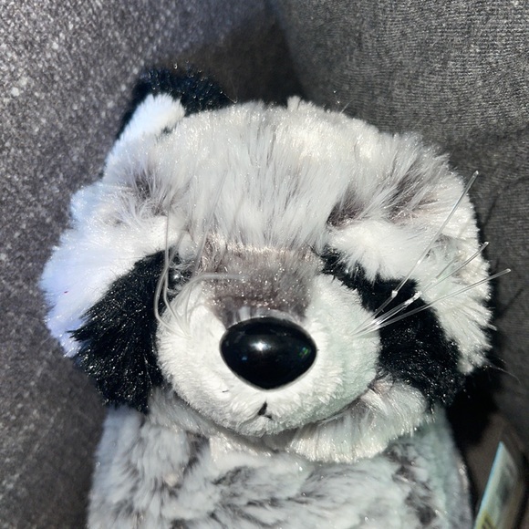 WEBKINZ Ganz RACCOON RETIRED HM143 w/hang &but Tag No Code plush stuffed animal - Picture 3 of 16